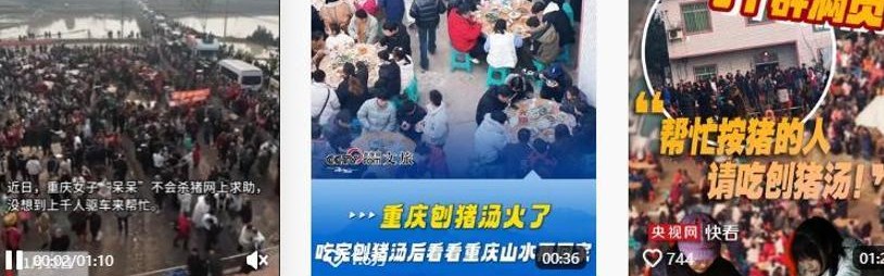 株洲灿灿跟风杀猪，比呆呆还野！文旅提前6天准备，却被网友骂惨