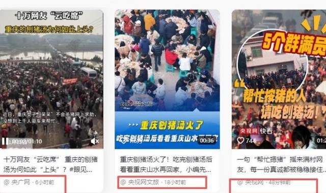 株洲灿灿跟风杀猪，比呆呆还野！文旅提前6天准备，却被网友骂惨